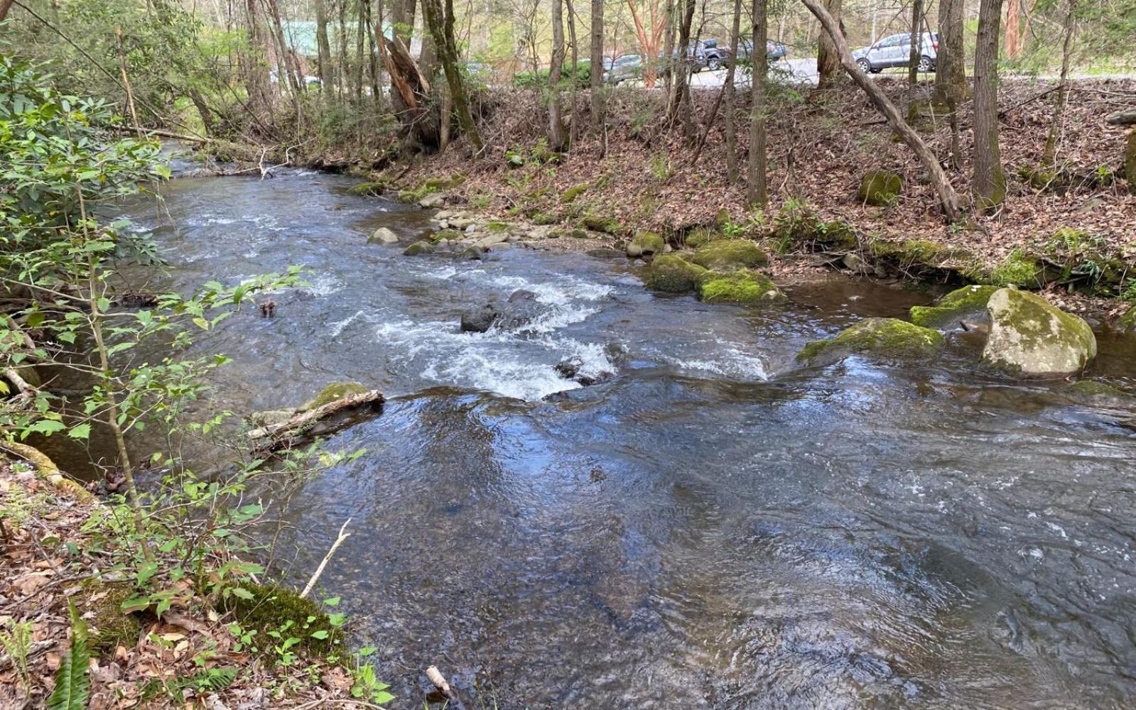 Villa Shady Creek Gatlinburg Esterno foto